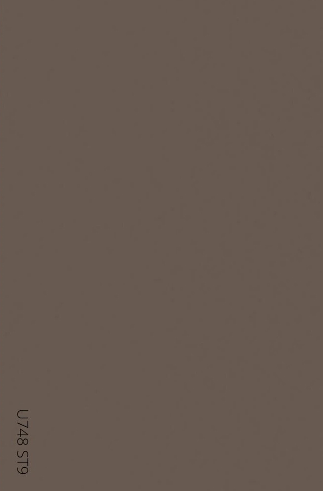 EGGER - DTDL - U748 ST9 - Trufel - 18 mm