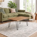 Konferenčný Stolík /1100x600/ - D9614 PR - Noha - ARTO Hairpin - /V406*H12/  