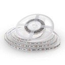 LED pásik nezaliata - /Kotúč 5m/ 