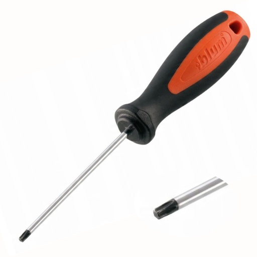 [20250107] BLUM - Skrutkovač torx S03BLUM4 TX2